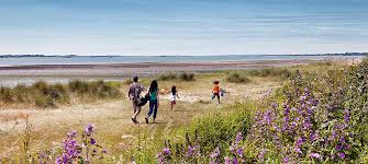 mersea island